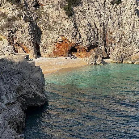 Olive Apartment